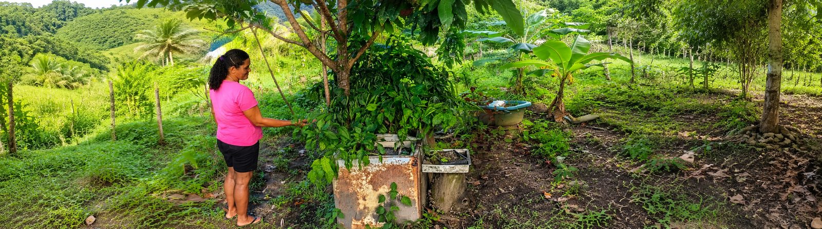 Cultivar Saberes Quilombolas